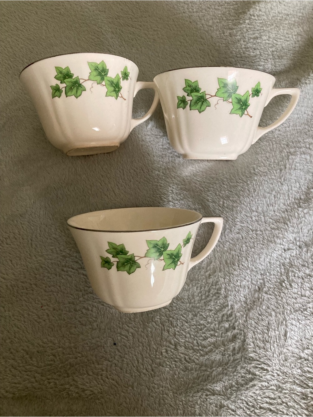 Ivory Ceramic Teacup with Green Ivy Motif - Set of 3